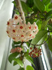 DSCN7678