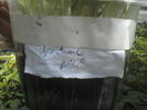 P08-04-12_13.37[2]