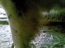 07042012(002)