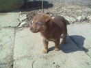 20120325055
