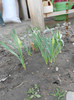 DSCN1762
