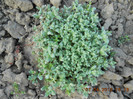 DSCN1763