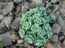 DSCN1765