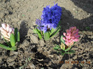 DSCN1777