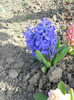 DSCN1778