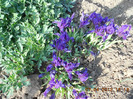 DSCN1783