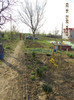 DSCN1789
