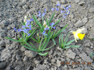 DSCN1802