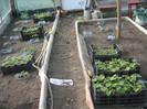 in solar  8 04 2012