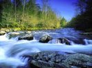 Parcul-National-Great-Smoky-Mountains