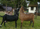 BILD0784