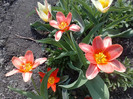 07042012