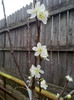 060420122096