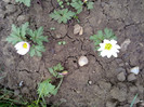 060420122100