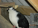 DSCN5742