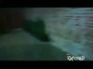 Avril Lavigne - Exposed (Documentary Part 1) 7915
