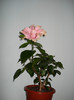 DSC02102