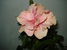 DSC02103