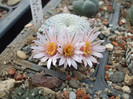 DSCF9518