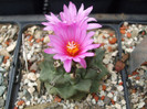 DSCF9574