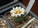 DSCF9578