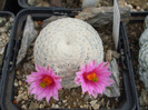 DSCF9584