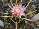 DSCF9588