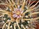 DSCF9590