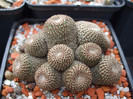 DSCF9615