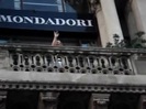 Demi Lovato in Milan 2274