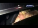 Avril Lavigne - Paparazzi (Various Footage Part 1) 1573