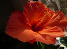 P1120481