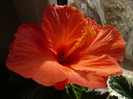 P1120482