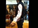 DEMI LOVATO IN ITALY 31-03-12 0443