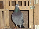 DSC00339