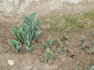 2012, April 04
