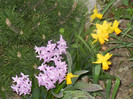2012, April 04
