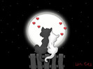 love-cats-heart-adorable