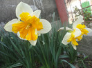 DSC04248