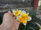 DSC04249