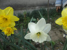 DSC04251