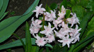 DSCN1980