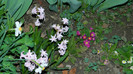 DSCN1992