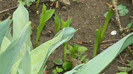 DSCN2074