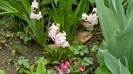 DSCN2081