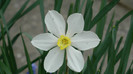 DSCN2082
