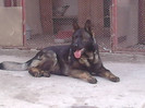 IMG00770