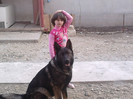 IMG00781