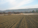 teren agricol & vanatoare