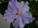 DSCN8032
